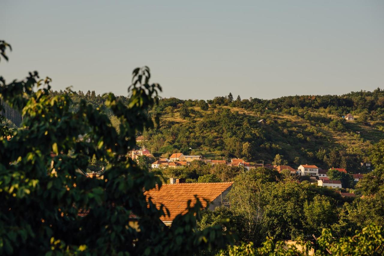 Apartman Pod Borovici Kovalovice エクステリア 写真